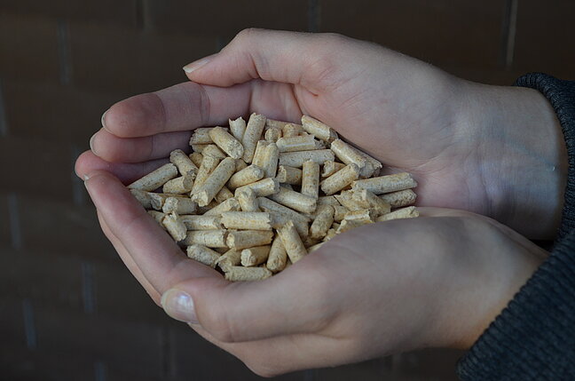 Holzpellets in den Händen