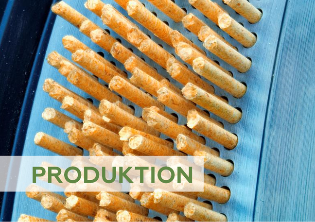 Matritze für die Herstellung von Holzpellets