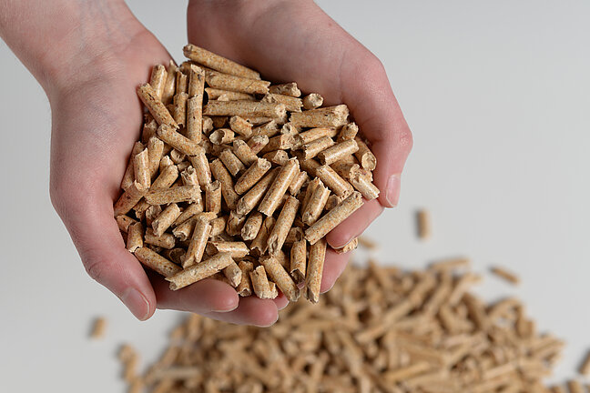 Hände mit Holzpellets