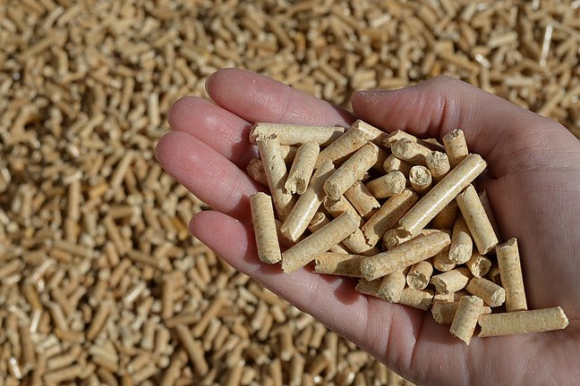 überzeugende Gründe für Holzpellets