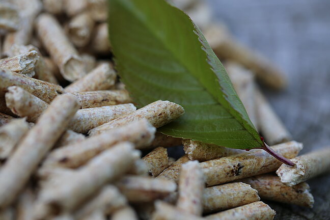 Holzpellets mit einem Laubblatt