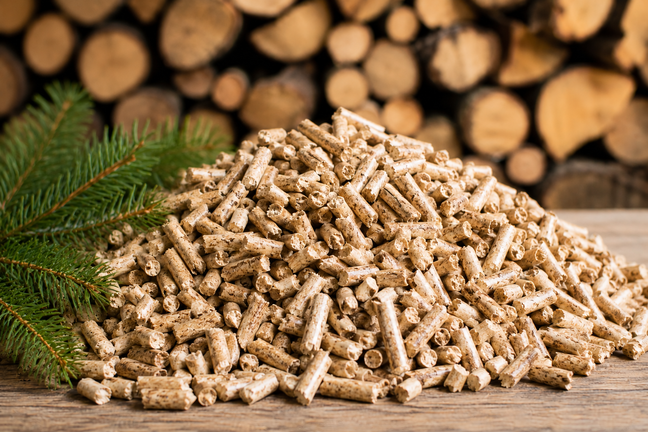 Haufen Holzpellets mit Tannast auf der linken Seite