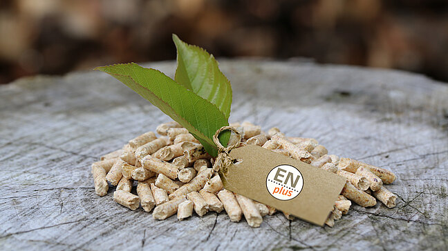 Holzpellets mit Blatt und ENplus-Anhänger