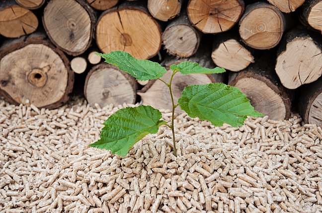 Holzpellets der Umweltfreundliche Brennstoff
