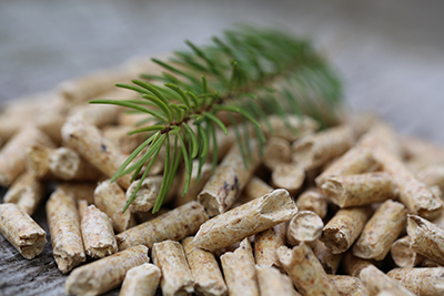 Holzpellets mit Tannenzweig