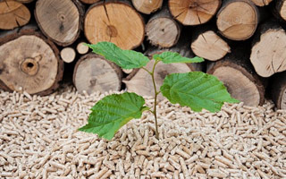 Holzpellets