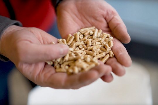 Hände voll Holzpellets